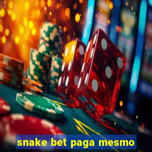 snake bet paga mesmo